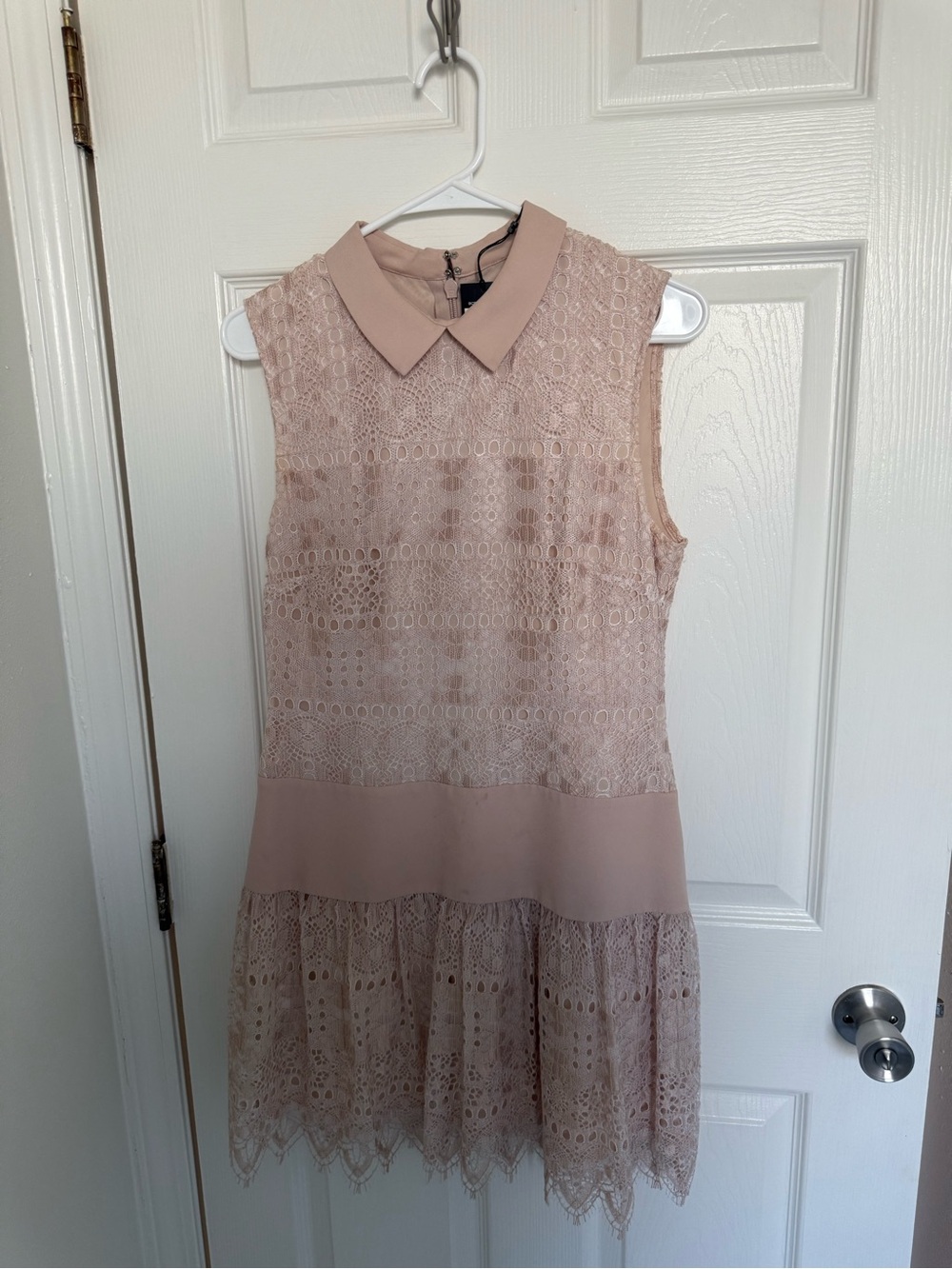 BCBGMaxAzria Blush Lace Peter Pan Collar Sleeveless Mini Dress